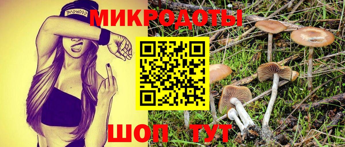 дарнет шоп  Вход с VPN  Губкинский  Псилоцибиновые грибы мухоморы 